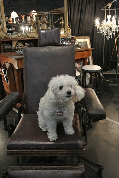 Revamp Furniture Antique Dentist Chair with Bobo